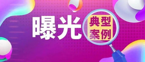 全区坚果炒货行业专项整治期间查处典型案例 一