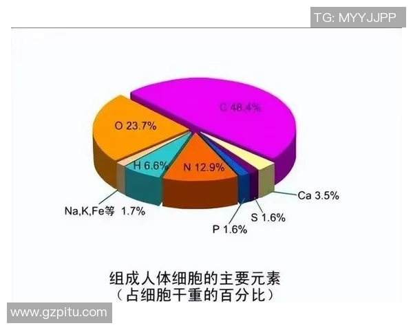 足球凸起大包的秘密揭秘与健康影响分析