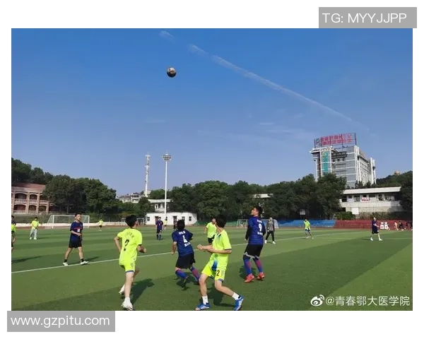 费翔足球的魅力与激情探索中国足球的未来发展之路